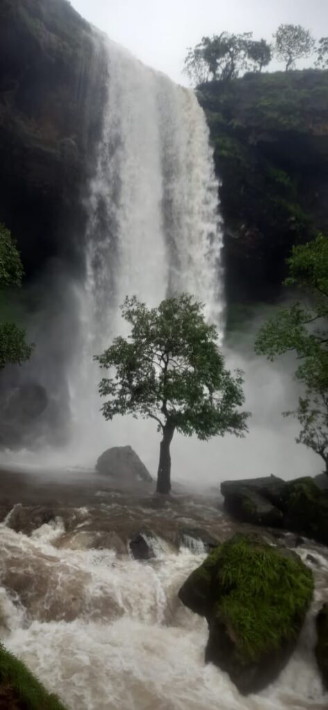 bhandardara